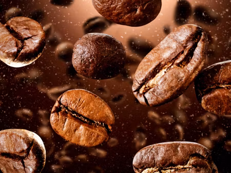 Canvastavla - Multipart Brown Coffee Beans