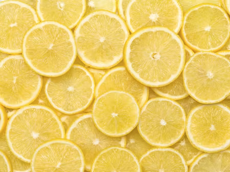 Canvastavla - Multipart Lemon Slices