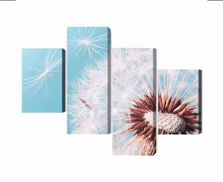 Canvastavla - Multipart Dandelion Flower on a