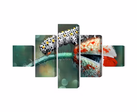 Canvastavla - Multipart a Caterpillar and a