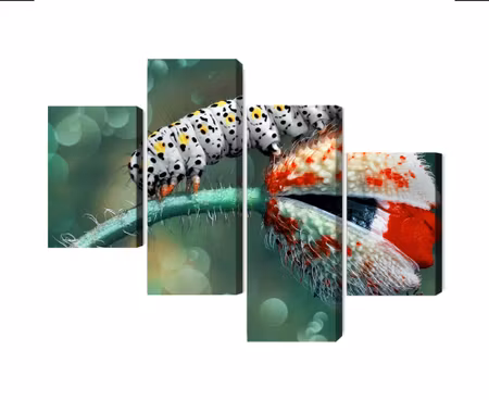 Canvastavla - Multipart a Caterpillar and a