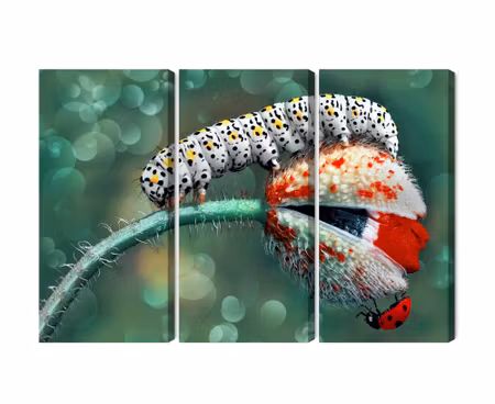 Canvastavla - Multipart a Caterpillar and a