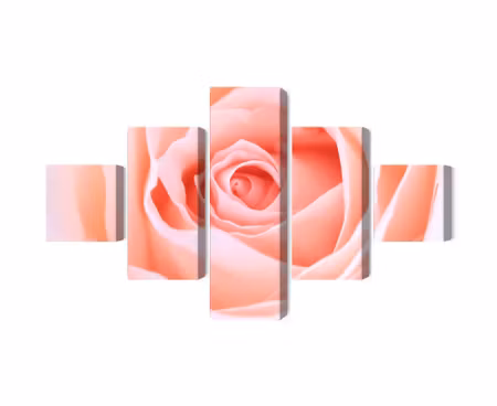 Canvastavla - Multipart Pastel Rose on a D Macro