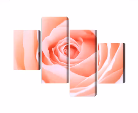 Canvastavla - Multipart Pastel Rose on a D Macro