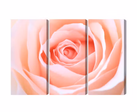 Canvastavla - Multipart Pastel Rose on a D Macro