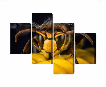 Canvastavla - Multipart Wasp on a Macro Scale