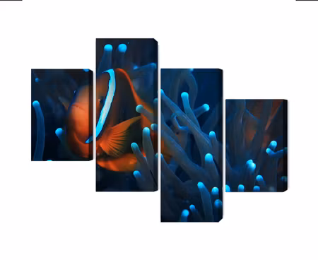 Canvastavla - Multipart Clownfish in a D Anemone