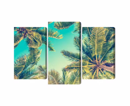 Canvastavla - Multipart Bottom View of the Palm