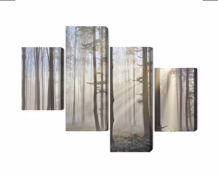 Canvastavla - Multipart Sunrise in the Woods