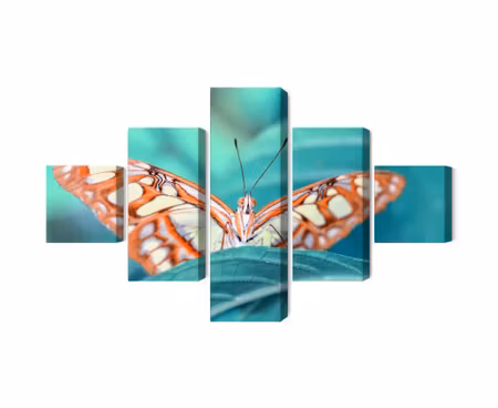 Canvastavla - Multipart Butterfly on a Leaf in