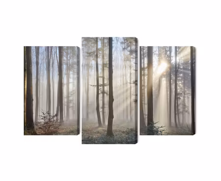 Canvastavla - Multipart Sunrise in the Woods