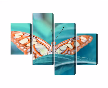 Canvastavla - Multipart a Butterfly on a Leaf on