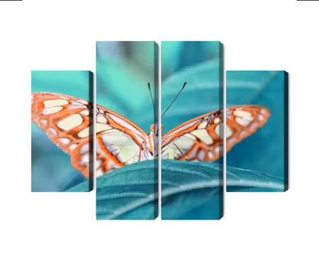 Canvastavla - Multipart a Butterfly on a Leaf on