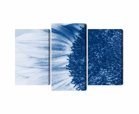 Canvastavla - Multipart Blue Sunflower on a Macro