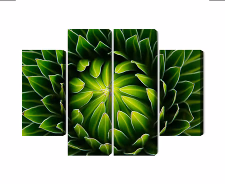 Canvastavla - Multipart Green Plant on a Macro