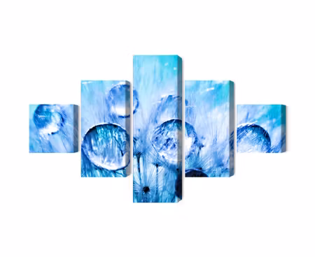 Canvastavla - Multipart Dew Drops on Dandelion