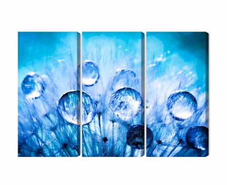 Canvastavla - Multipart Dew Drops on Dandelion