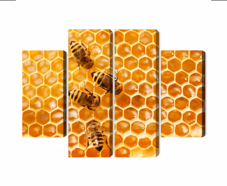 Canvastavla - Multipart Bees on the Honeycomb