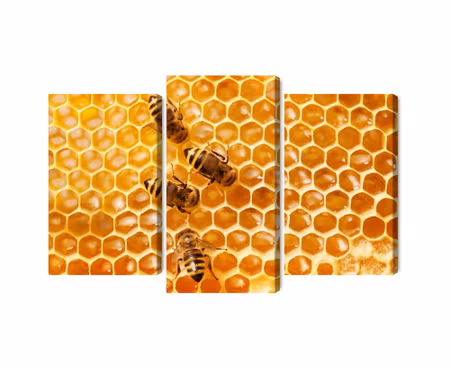 Canvastavla - Multipart Bees on the Honeycomb