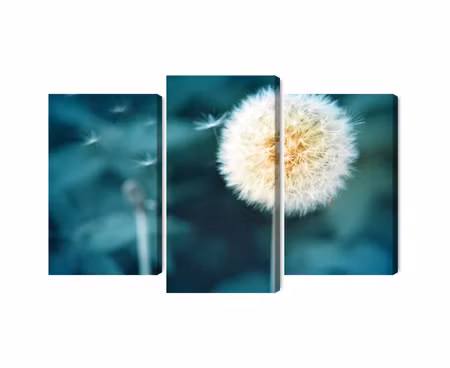 Canvastavla - Multipart Dandelion Flower Close Up