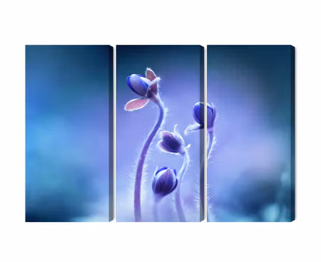 Canvastavla - Multipart Delicate Flowers on a