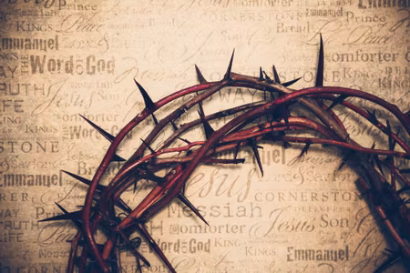 Canvastavla - Crown of Thorns
