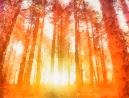 Canvastavla - Dawn in a Beautiful Forest