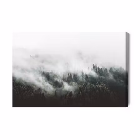 Canvastavla - Moody Forest Landscape with Fog and