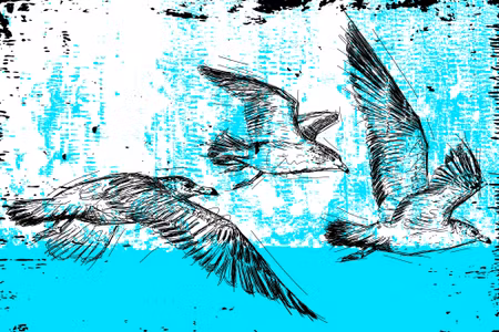 Canvastavla - Drawn Seagulls in Retro Style