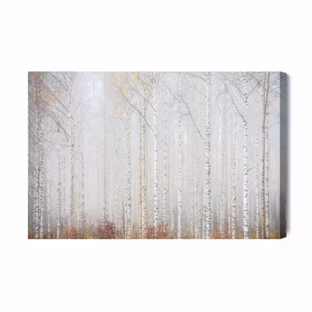 Canvastavla - Birch Forest in the Mist