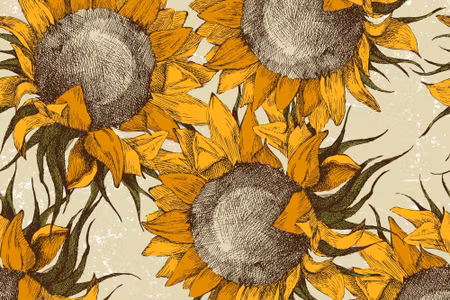Canvastavla - Sunflowers