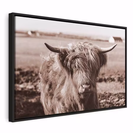 Canvastavla med ram - A scottish cow in sepia