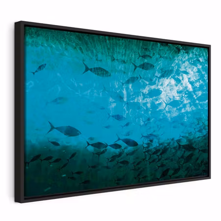 Canvastavla med ram - A shoal of dark fish