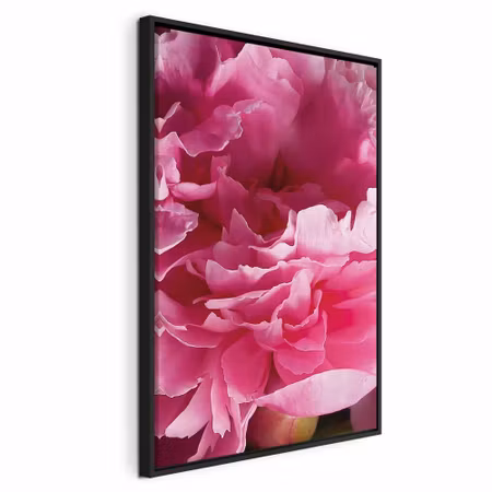 Canvastavla med ram - Blossom of beauty pink peony
