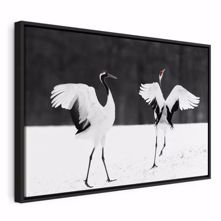Canvastavla med ram - Dancing cranes wide