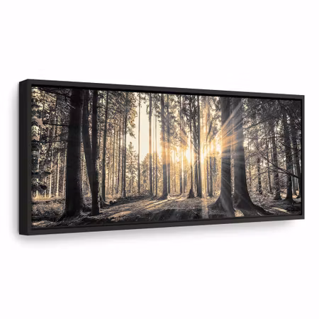 Canvastavla med ram - Forest sun