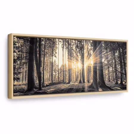 Canvastavla med ram - Forest sun