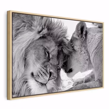 Canvastavla med ram - Lion and s love