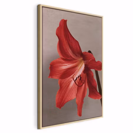 Canvastavla med ram - Red flower vertical
