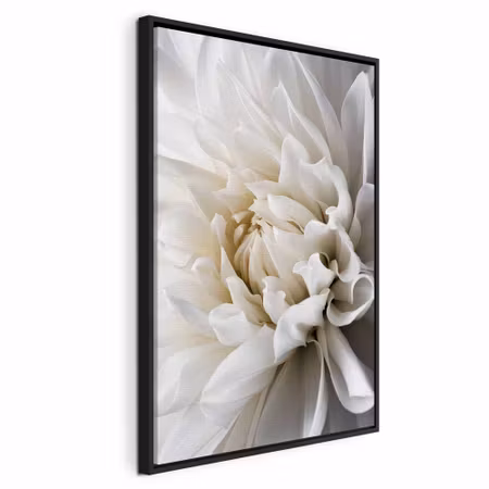 Canvastavla med ram - White dahlia