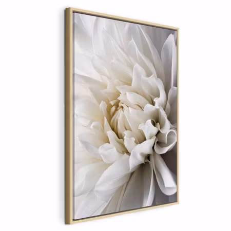 Canvastavla med ram - White dahlia