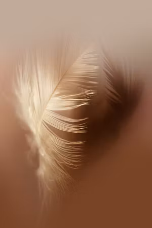 Canvastavla - Autumn fluff part vertical