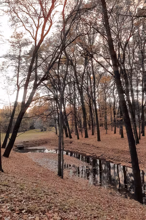 Canvastavla - Autumn walk part vertical