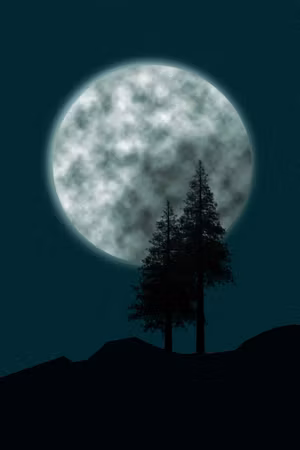 Canvastavla - Beautiful full moon part vertical