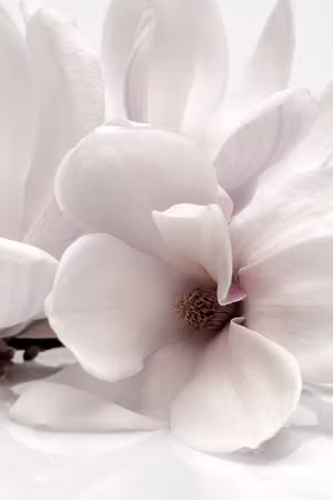 Canvastavla - Blooming light part vertical