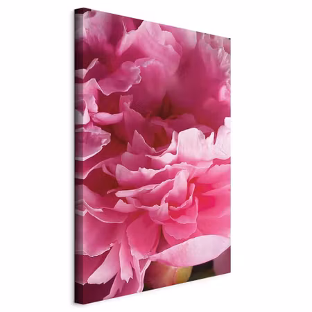 Canvastavla - Blossom of beauty part pink peony by
