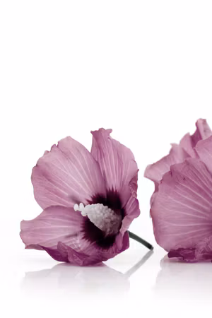 Canvastavla - Close to each other part vertical