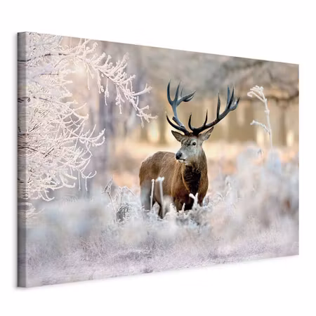 Canvastavla - Deer in the cold