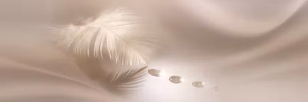 Canvastavla - Delicate feather