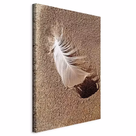 Canvastavla - Feather on the sand part vertical